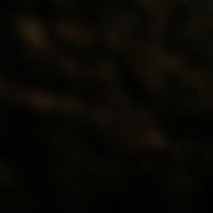 Meet your Posher, Hailey